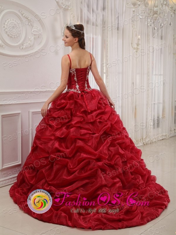 new quinceanera dresses