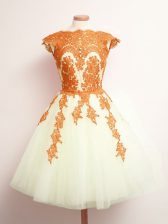  Appliques Quinceanera Court Dresses Multi-color Lace Up Sleeveless Mini Length