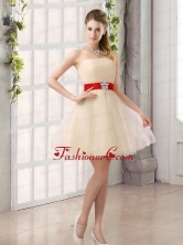 A Line Belt Strapless Dama Dress with Mini Length BMT019AFOR